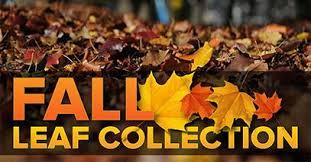 fall leaf collection