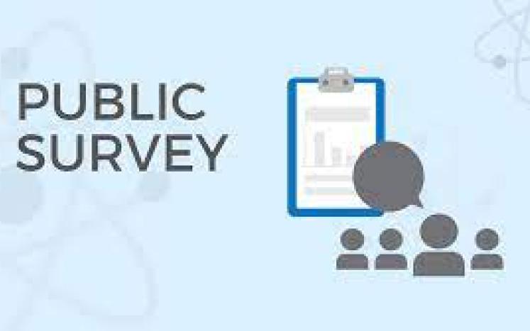 public survey